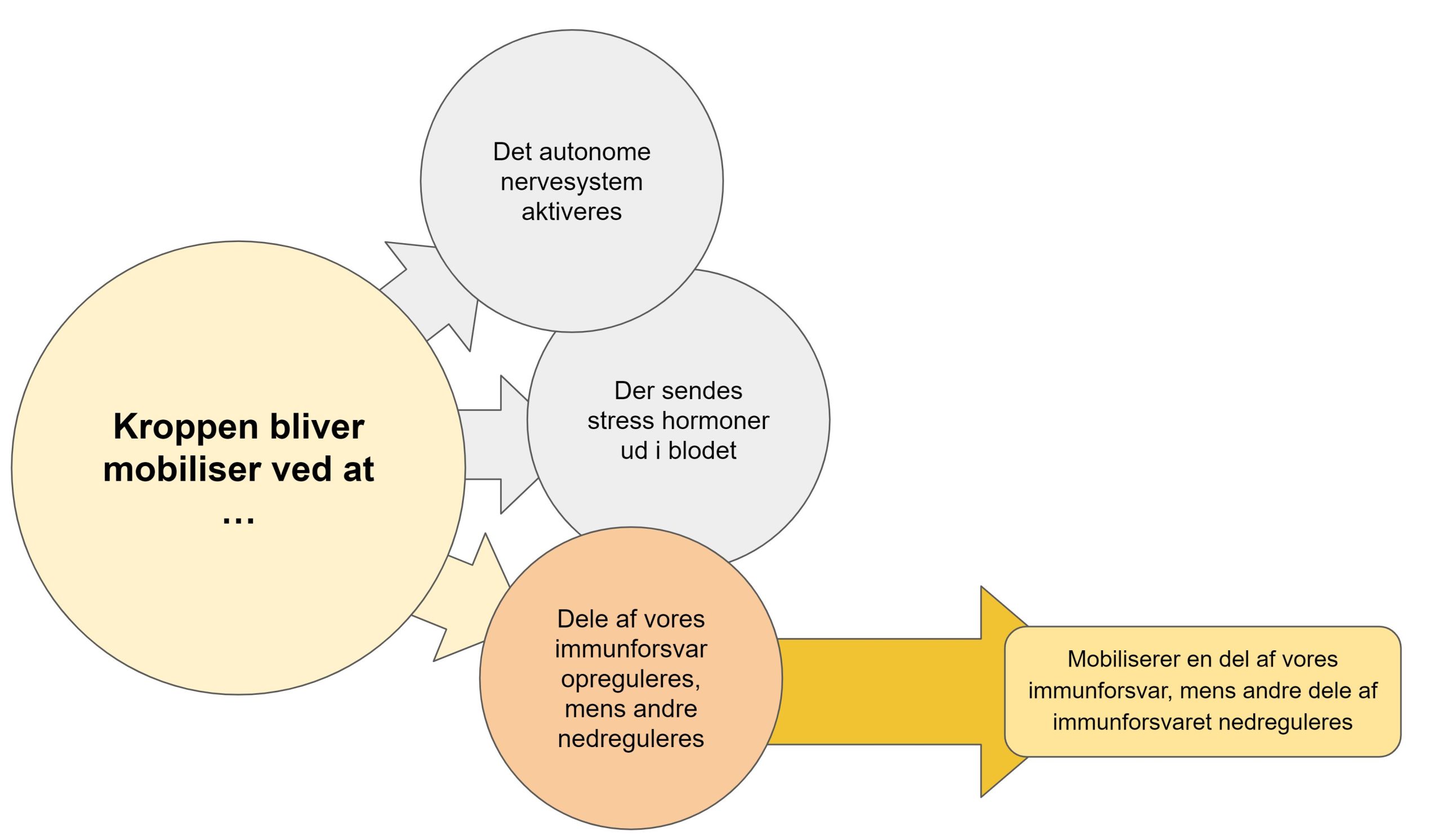 alvorlig stress symptomer - immunforsvar