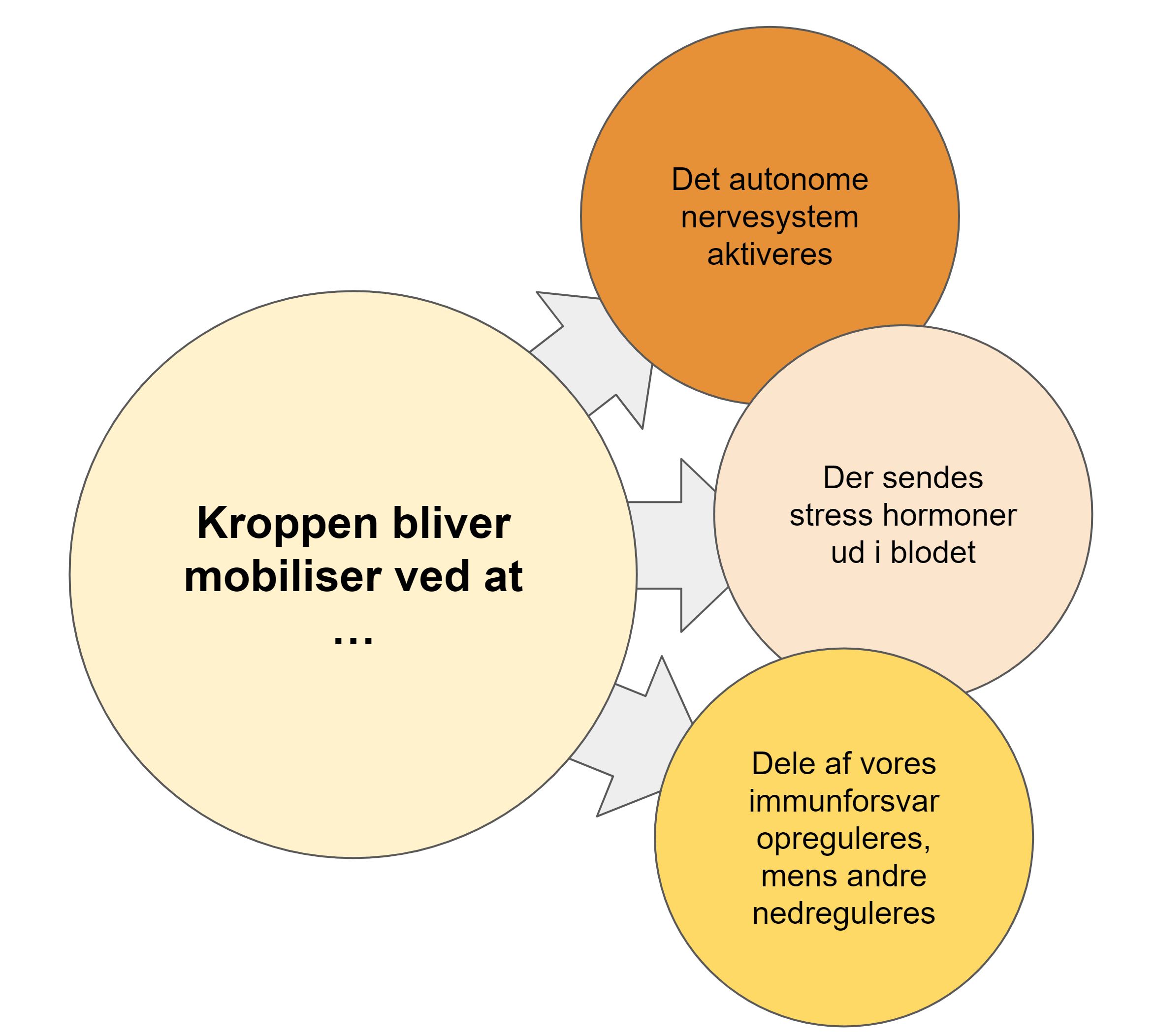 alvorlig stress symptomer - kropppen mobiliseres ved at