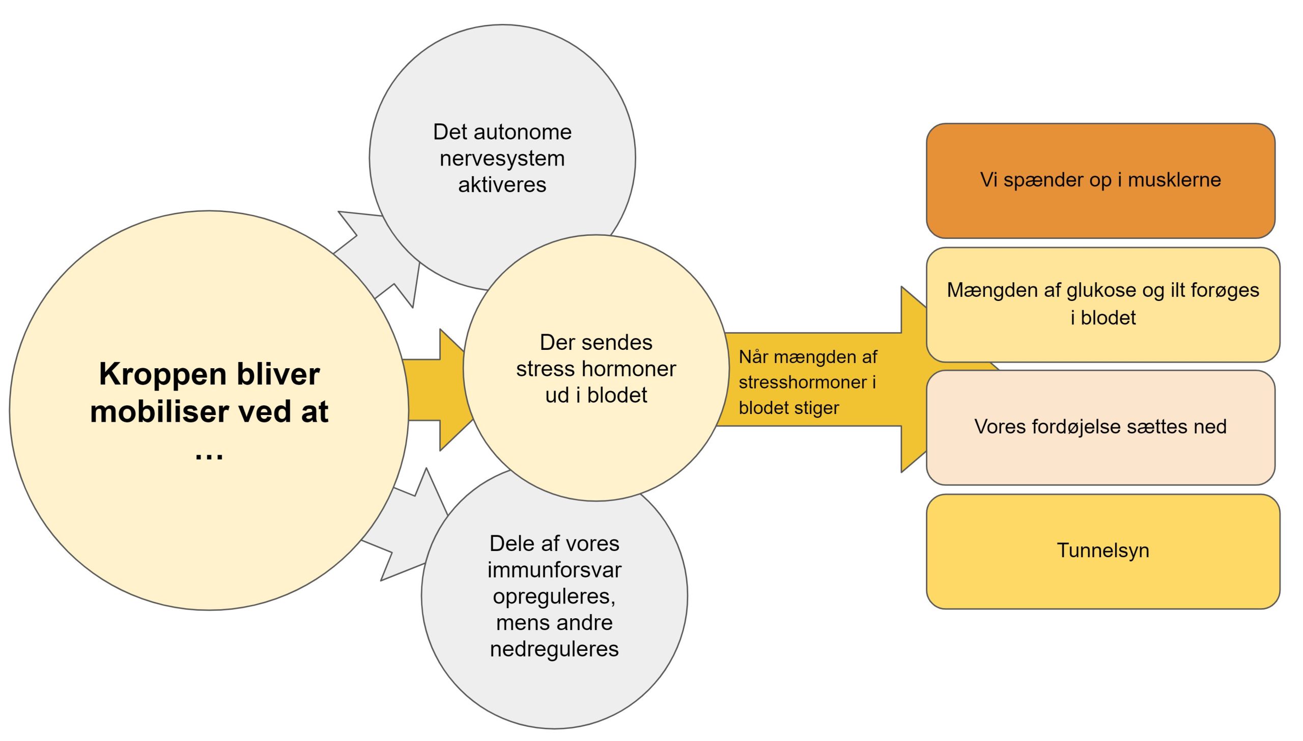 alvorlig stress symptomer - stress hormoner i blodet