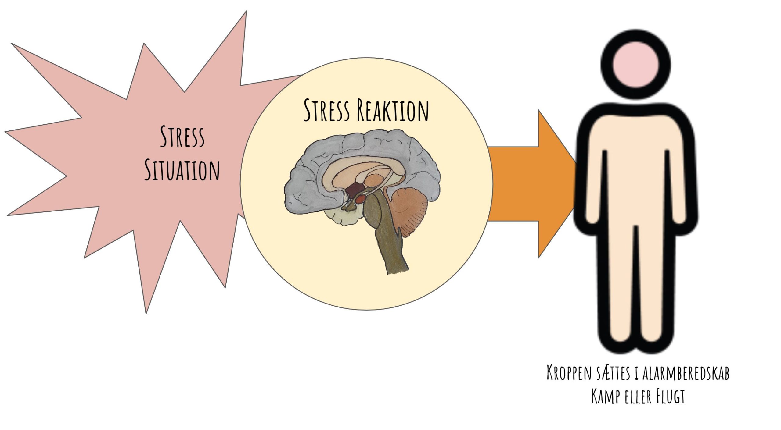 fysiske symptomer på stress og angst - Farefuld situation kroppen mobilisers til Kamp eller flugt