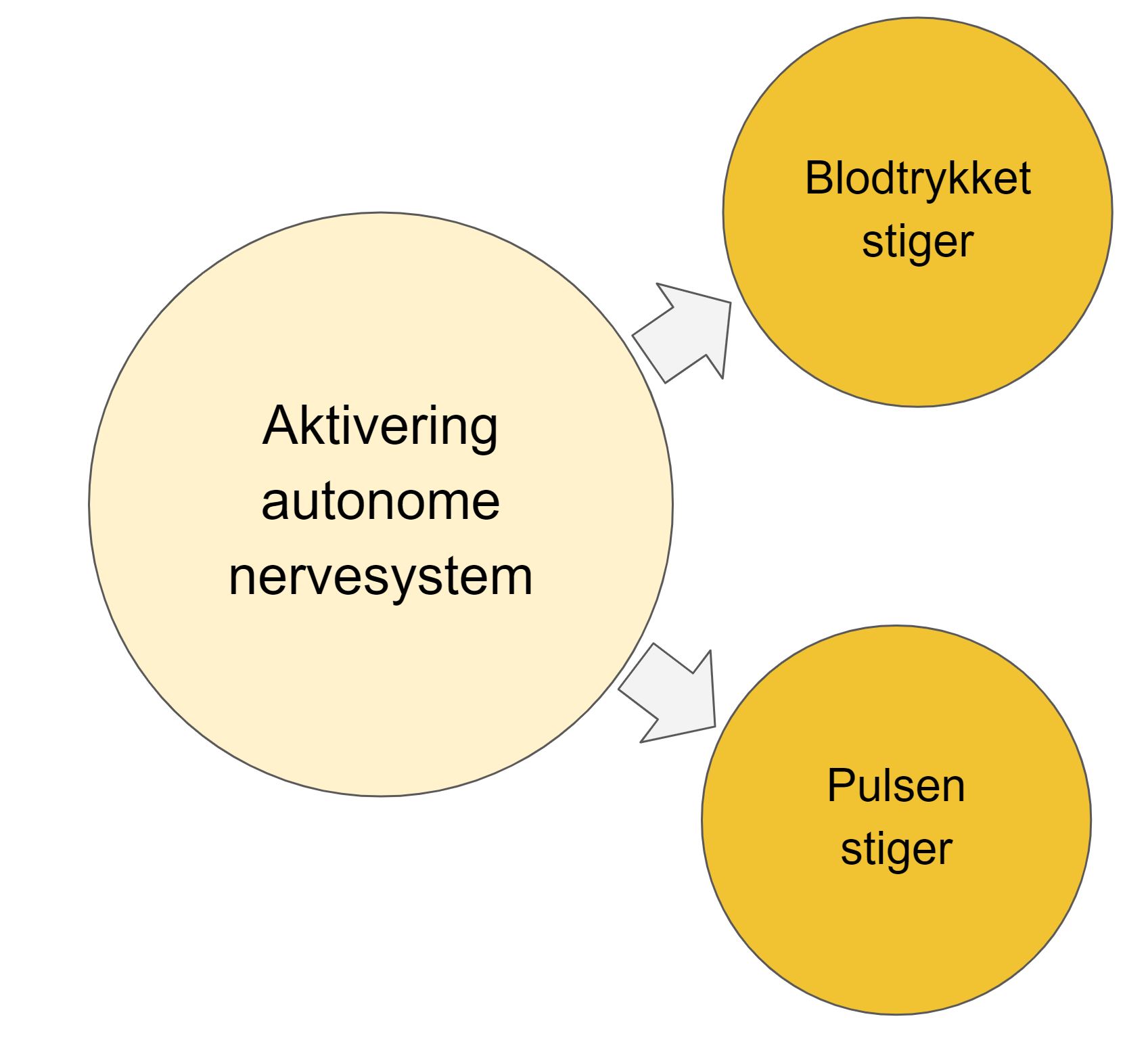 fysiske symptomer på stress og angst - aktivering af det autonome nervesystem