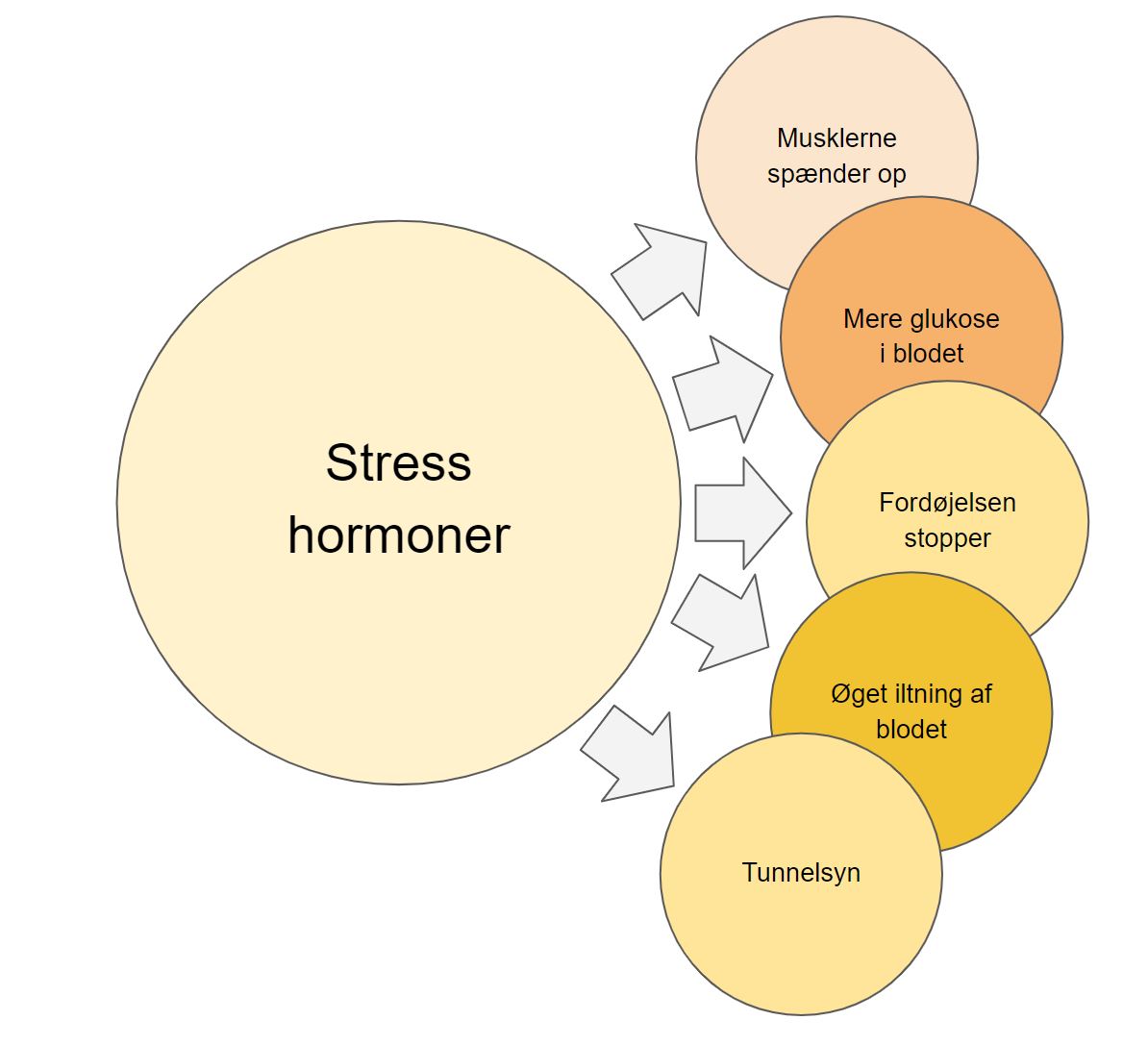 fysiske symptomer på stress og angst - stress hormoner