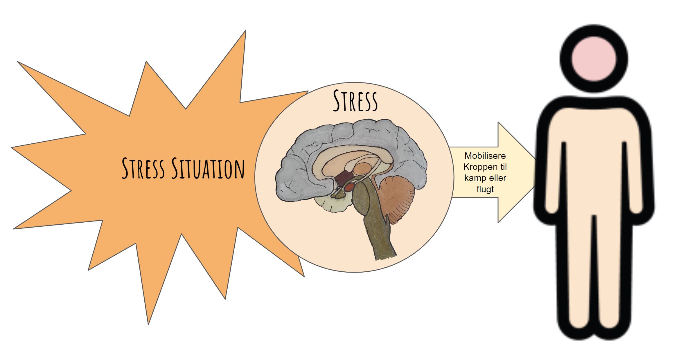 Hævede lymfekirtler stress - stress situation